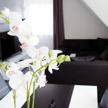 La Domus Premium Osnabrueck Daire *