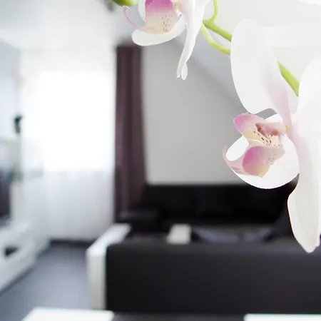 La Domus Premium Osnabrueck Daire *