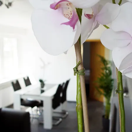 La Domus Premium Osnabrueck Daire Lotte