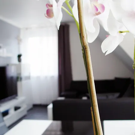 La Domus Premium Osnabrueck