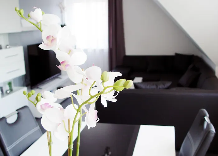 La Domus Premium Osnabrueck Lejlighed *