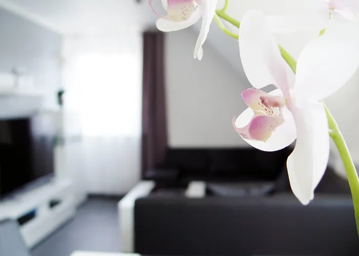 La Domus Premium Osnabrueck شقة *