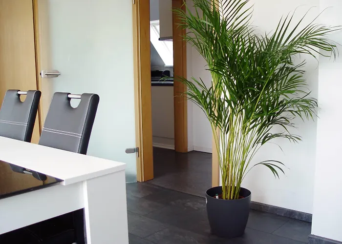 La Domus Premium Osnabrueck Lejlighed Lotte