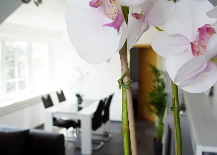 La Domus Premium Osnabrueck Lejlighed Lotte