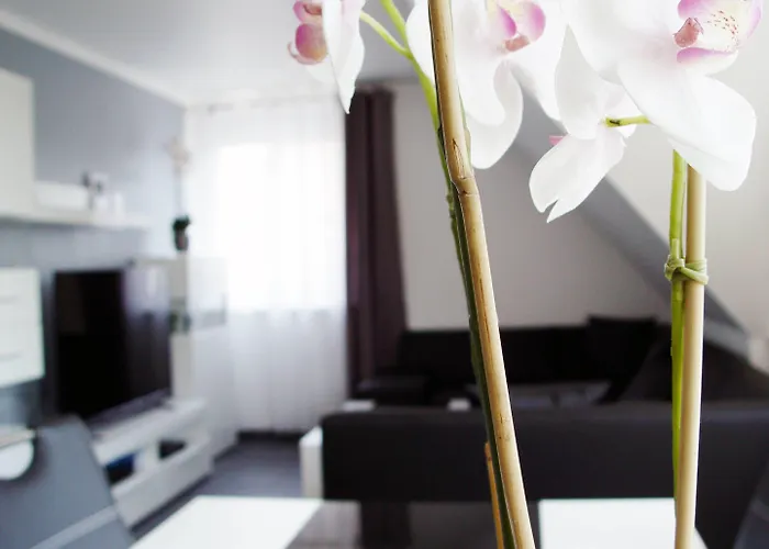 La Domus Premium Osnabrueck