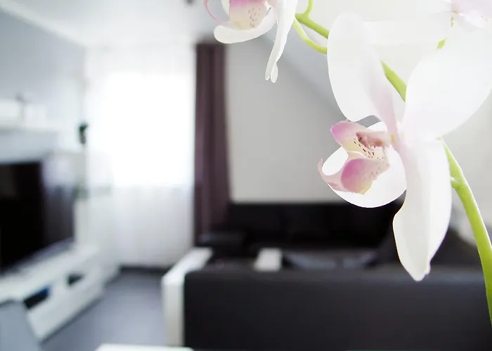 شقة La Domus Premium Osnabrueck Lotte